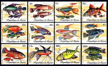12 VNT, Gvinėja Pašto Antspaudo, 1971, Sea Life, Žuvų Antspaudas, Nekilnojamojo Originalus, Geros Conditon Kolekcija