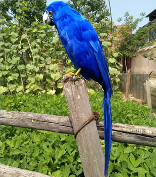 didelis 45cm mėlynos plunksnos parrot modelis paukščių etape prop,sodo puošmena gimtadienio dovana w2027